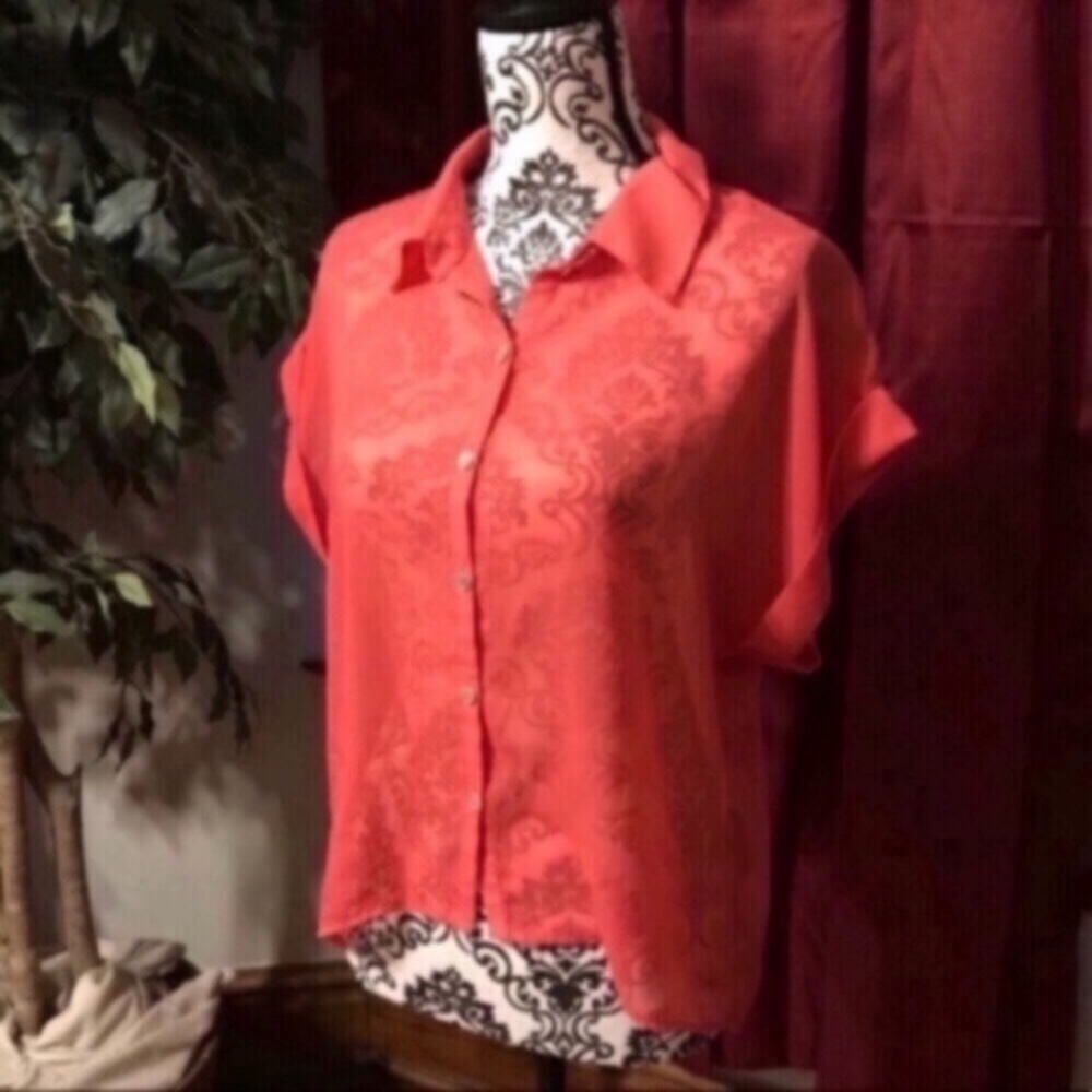 Eyeshadow - Juniors Hot Pink Sheer Blouse